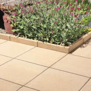 Textured Concrete Paving