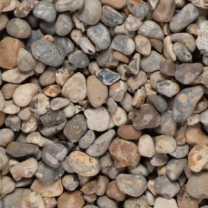 Oyster Pebbles 40mm