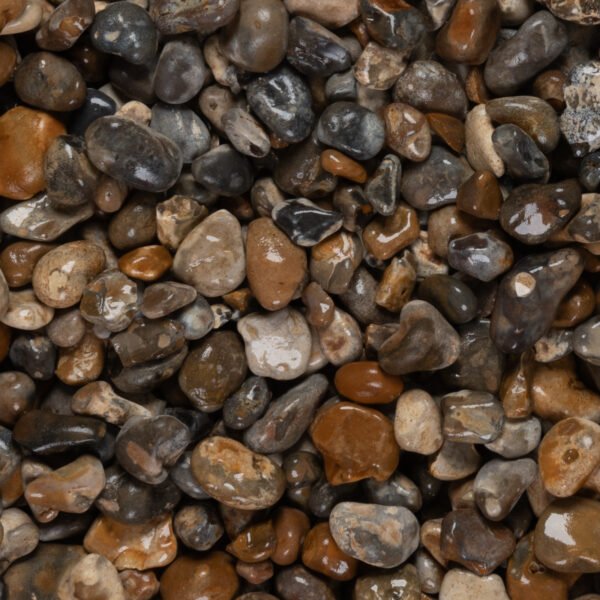 Oyster Pebbles 40mm - Image 2